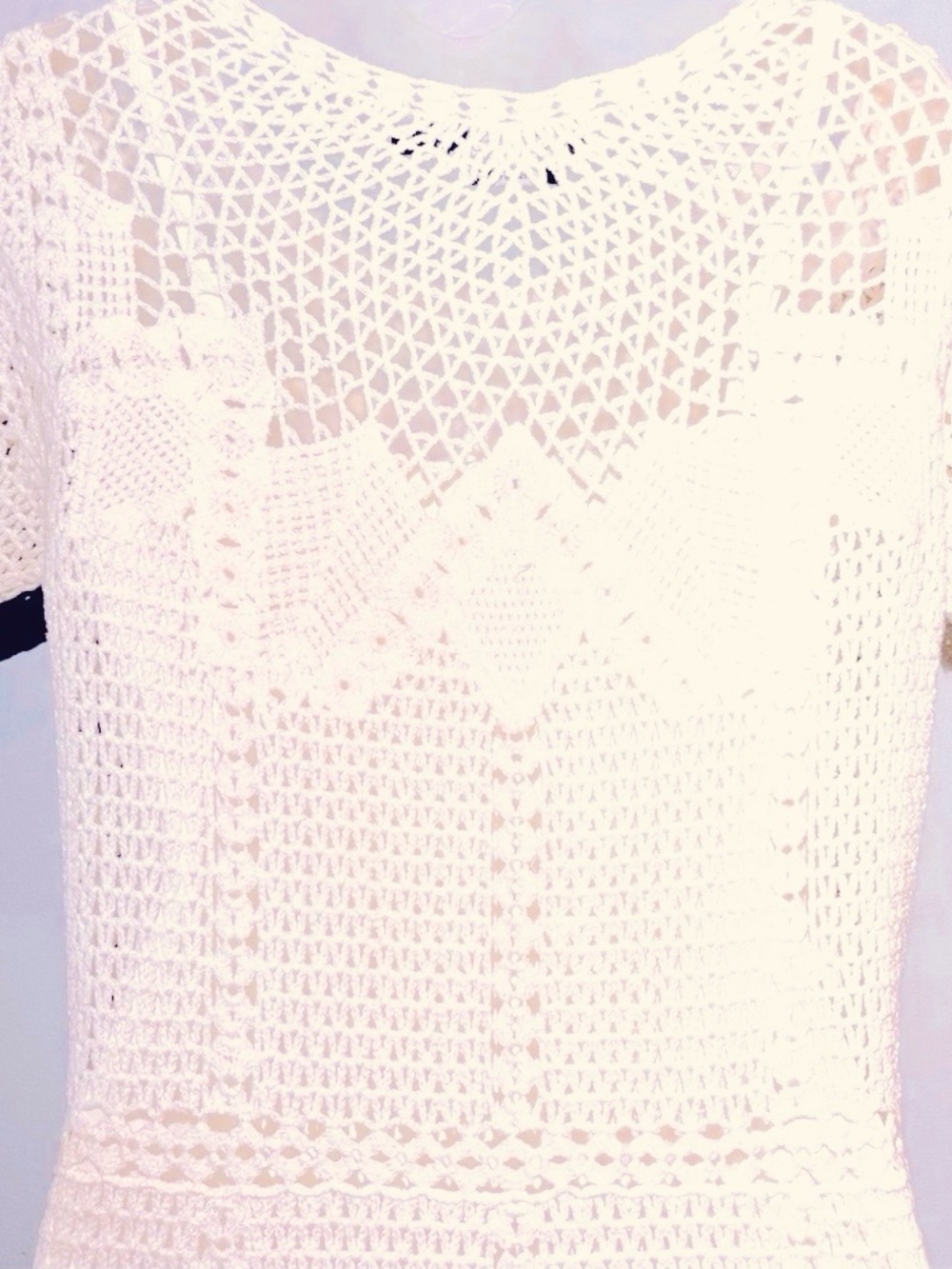 Lauren by Ralph Lauren Lace Dress with Slip. - Picture 5 of 7
